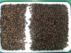 Small Compact <strong>Green</strong> Roasted <strong>Coffee</strong> Beans Color Sorter <strong>Machine</strong> 99.9% High Accuracy Wheat Corn Mung Beans Optical Sorter - Product Image 3