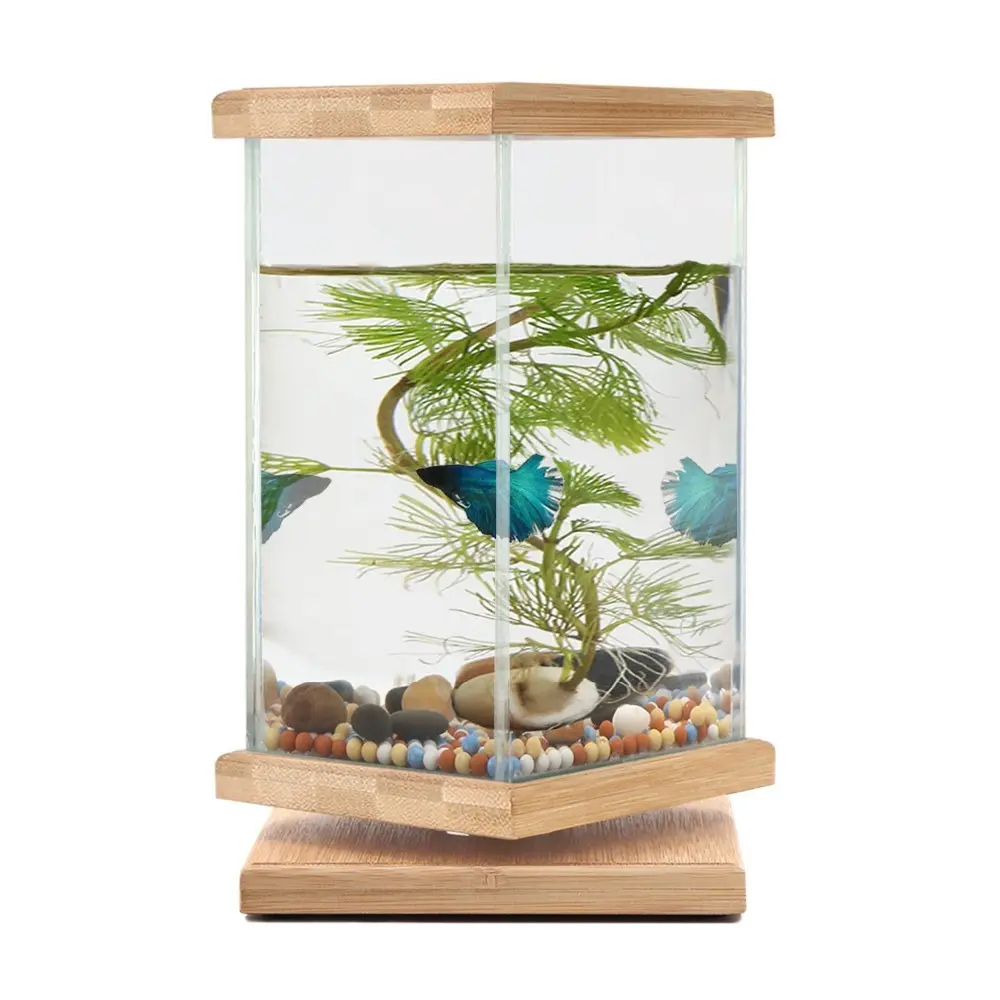 Tanque de peixes 360 graus, tanque de peixes com jarra quadrada de vidro, pequeno, decoração para casa e escritório