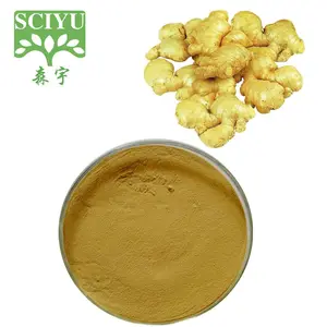 Gingerols 5% 6% 15% ginger powder black ginger extract Ginger Root Extract