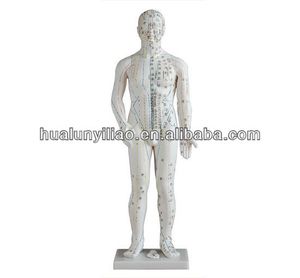 <span class=keywords><strong>Acupuncture</strong></span> modèle du corps humain mâle. 50cm pvc - Product Image 1