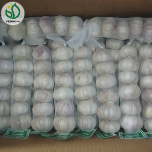 Cung Cấp Tỏi Trung Quốc Trong <span class=keywords><strong>Container</strong></span> Cá Hồi 40ft - Product Image 6