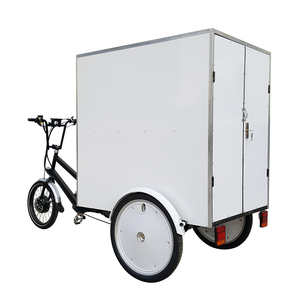 Tricycle électrique de transport de marchandises à trois roues pour la ville, fabriqué en Chine, grand volume de chargement - Product Image 2