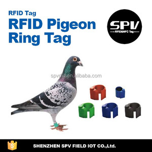 TK4100 Chip type open tracking animals services Paloma ring RFID label tag - Product Image 4