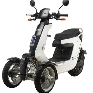 Coche eléctrico de 3 ruedas 72V 2000W potente motocicleta, scooter Eléctrico