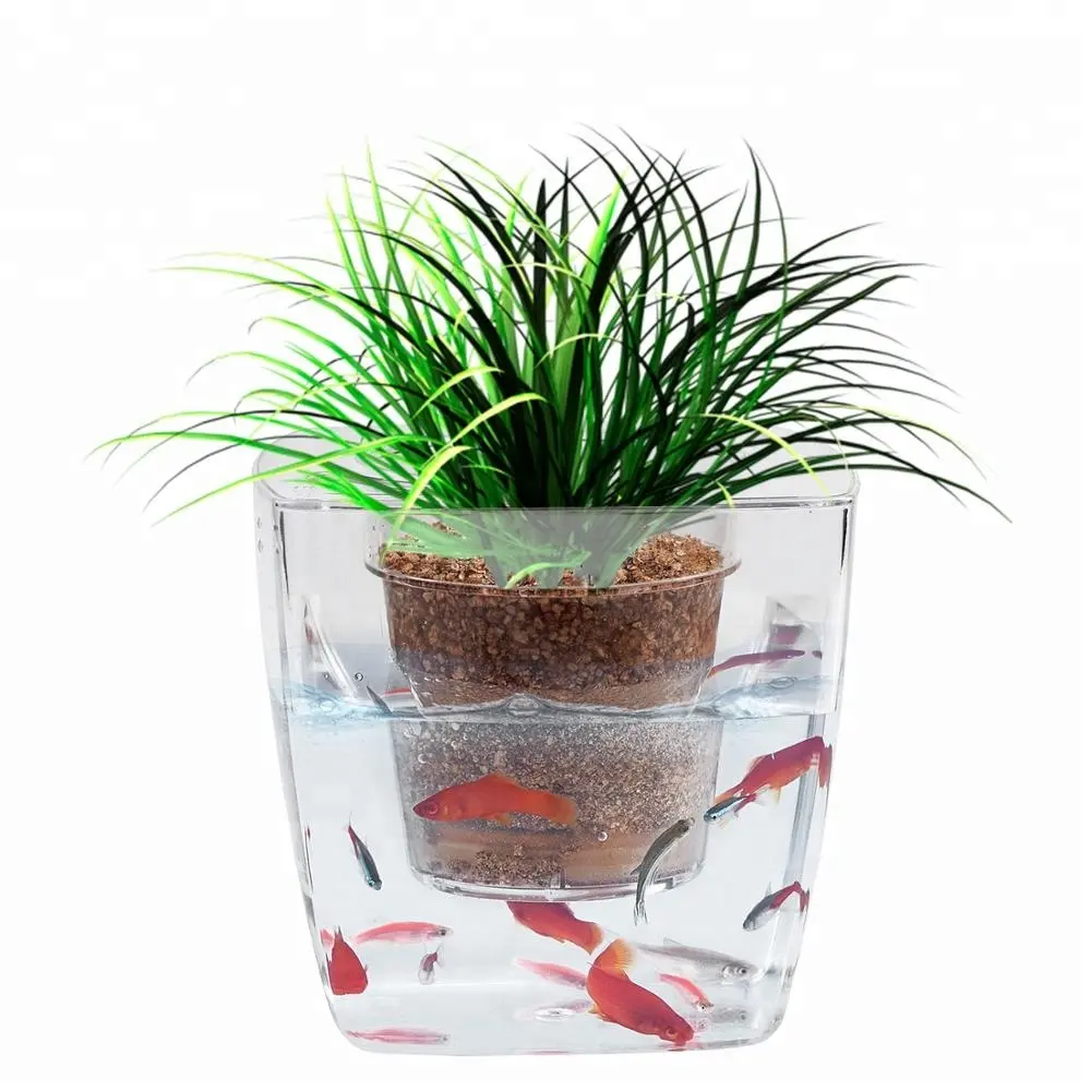 Cultivateur hydroponique Table Fontaines D'eau Intérieur Décoration En Fiber De Verre Décoration De L'aquarium Succulant Plante Vivante