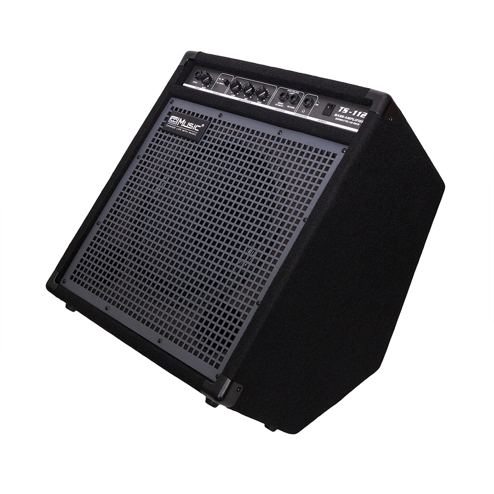 Coolmusic TS-112 60watts Bass Combo Amp - Great for Guitars