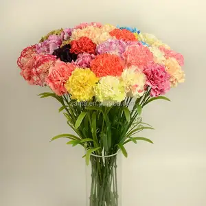 El mejor regalo para el día de la madre 18 colores artificial Clavel flor cortada precios