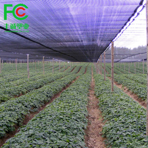 Lưới Che Nắng Nông Nghiệp Vải Che Nắng Tùy Chỉnh Giá Thấp Cho Nhà Kính - Product Image 6