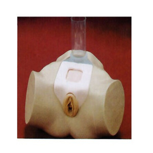 Simulador de punção de bexiga feminino, modelo de anatomia - Product Image 2