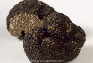 Trufa del Périgord, Hongo Precioso Comestible, Rebanadas Naturales de Tuber <span class=keywords><strong>Melanosporum</strong></span> - Product Image 4
