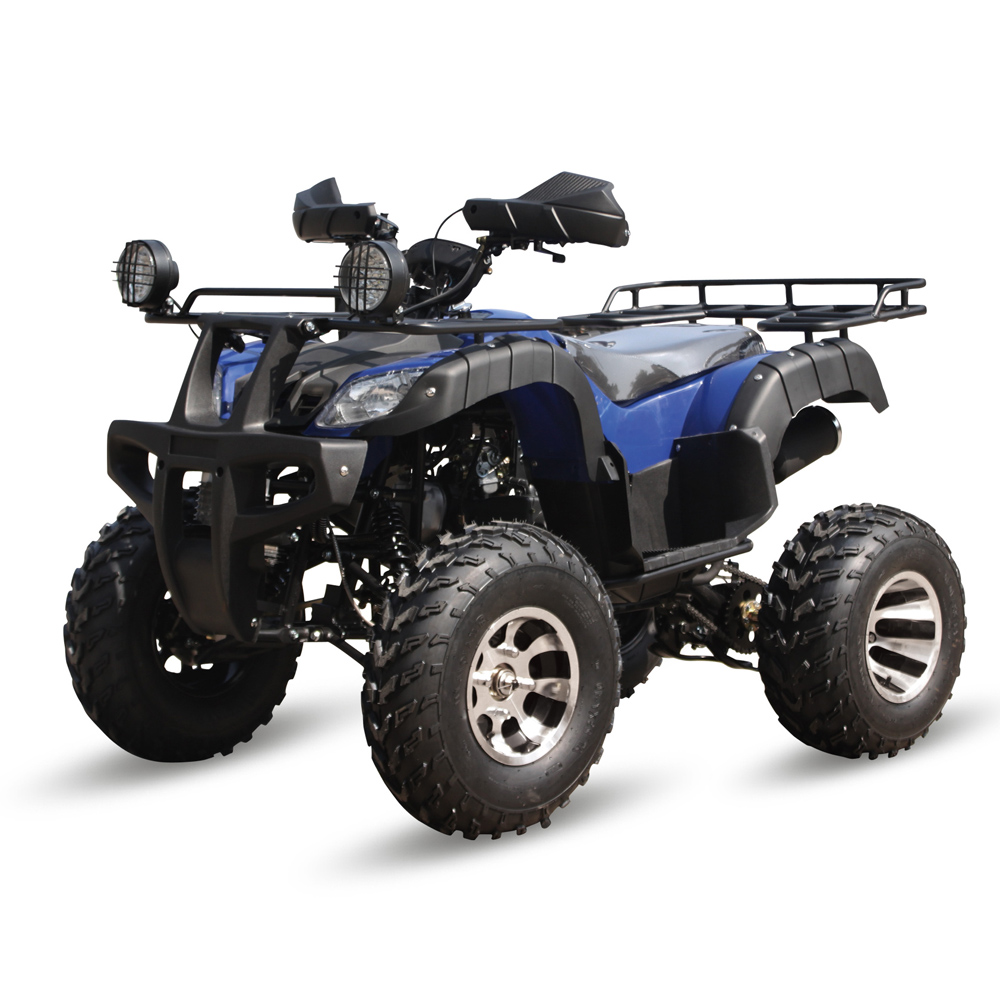 タオモータースチール自動クワッドバイク250ccAtv 250cc 4x4 for Adult Quad Bike Electric Start Atv125ccチェーンドライブリアディスクブレーキ