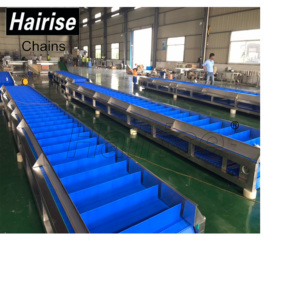 Hairise sıcak popüler içecek endüstrisi düz çalışma modüler bant konveyör - Product Image 6