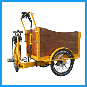 250 W Familia Inversa Triciclo De Carga Eléctrica 7 Marchas en Bicicleta a la Venta - Product Image 1