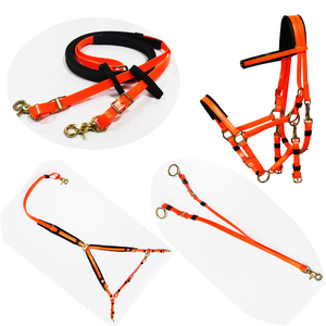 Écologique <span class=keywords><strong>cheval</strong></span> d'endurance racing bride, rein et cuirasse - Product Image 1