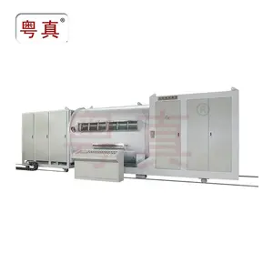 Mesin pembungkus logam vakum peralatan depilasi vakum gulung untuk LDPE BOPP CPP tas film BOPET peliharaan dari Yuedong Metallizer Co.,Ltd.