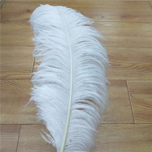Pluma <span class=keywords><strong>de</strong></span> avestruz teñida a granel Natural para decoración <span class=keywords><strong>de</strong></span> eventos, alta calidad, 60-65cm, 30-80cm, grande, multicolor, blanco, rosa, rojo - Product Image 3