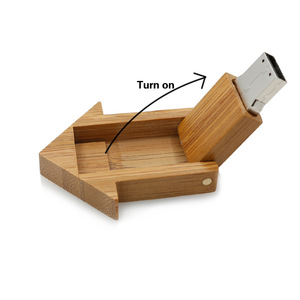Disque <span class=keywords><strong>USB</strong></span> 2.0 FTD Bamboo House <span class=keywords><strong>SMI</strong></span> - Nouveau - Garantie 1 an - Modèle FTD-UD33 - Product Image 3
