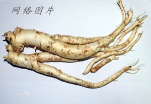 Supply Natural Balloon Flower <strong>Root</strong> <strong>Extract</strong> Powder <strong>Platycodon</strong> Grandiflorum <strong>Extract</strong> 10:1 20:1