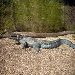 Outdoor Life Size Metall Tier Skulptur Bronze Krokodil Statue