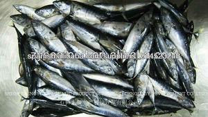 Scale Fish nice frozen - Product Image 1