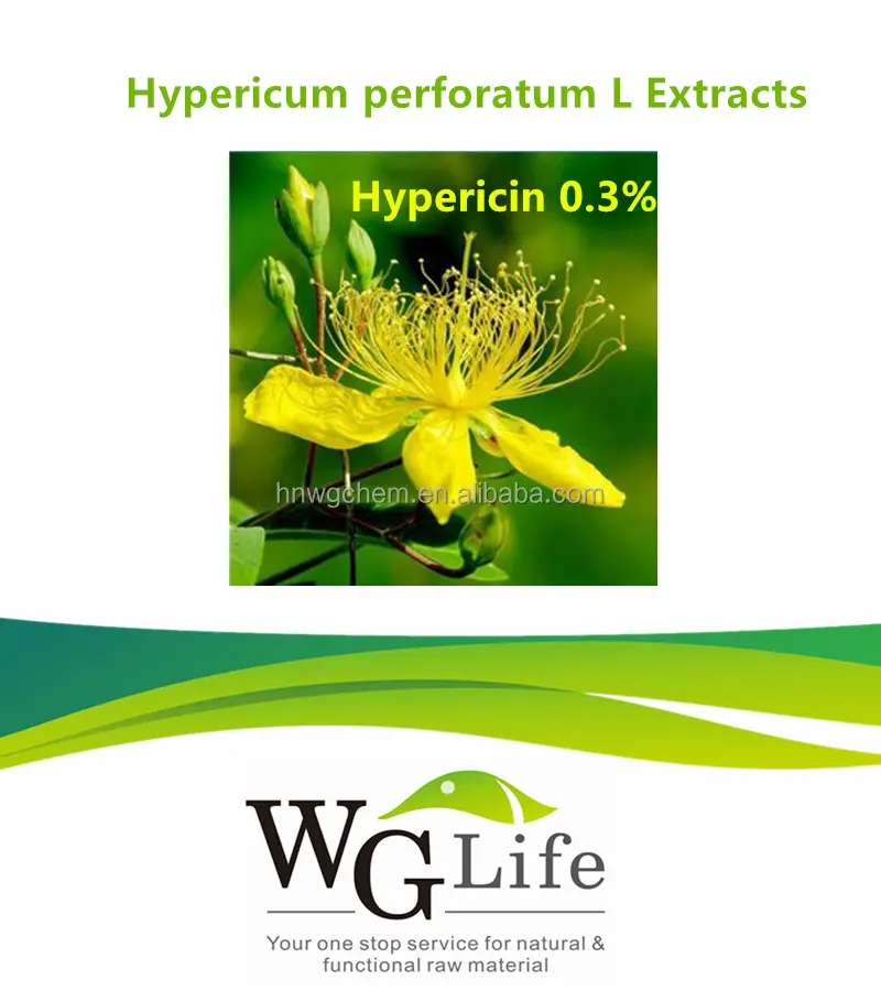 100% Natural Extracto de Hypericum Perforatum