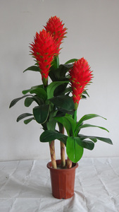 por mayor decoración del hogar árbol <span class=keywords><strong>bonsai</strong></span> artificial plástico plantas artificiales <span class=keywords><strong>bonsai</strong></span> hecho a mano artificial <span class=keywords><strong>bonsai</strong></span> - Product Image 1
