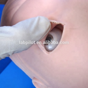 Multi-functional Airway Management รุ่น Intubation และดูดจำลองการฝึกอบรม - Product Image 4
