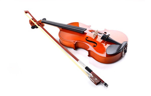 OEM logo V-10 Linden Wood <strong>Violin</strong> 4/4 Professional for Beginner <strong>Violin</strong> <strong>Kid</strong> - Product Image 4