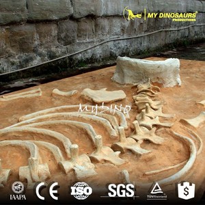Mô Hình Bộ Xương Cá Voi Nhân Tạo V - Product Image 5