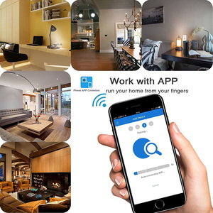 Topshine สวิตช์อัจฉริยะ Wifi,สวิตช์1ตัวดีไซน์ใหม่สำหรับควบคุมด้วยแอปมือถือและควบคุมด้วยเสียง - Product Image 5