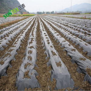 <span class=keywords><strong>Film</strong></span> <span class=keywords><strong>de</strong></span> <span class=keywords><strong>paillage</strong></span> plastique Suntex Sliver Strawberry / <span class=keywords><strong>Film</strong></span> <span class=keywords><strong>de</strong></span> <span class=keywords><strong>paillage</strong></span> PE <span class=keywords><strong>de</strong></span> 60 microns <span class=keywords><strong>de</strong></span> différentes couleurs <span class=keywords><strong>de</strong></span> haute qualité - Product Image 6