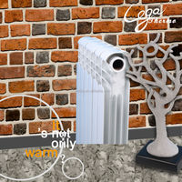 Installation murale système de chauffage central de l'eau radiateur bimétallique à insert tubulaire en acier moulé sous pression