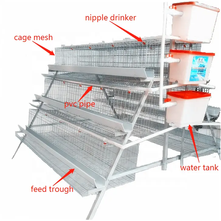 chicken cage/chicken cage factory design layer cage for chicken farm