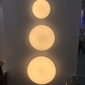 Светодиодные потолочные светильники круглой формы в форме устрицы