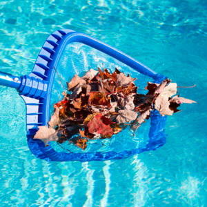 <span class=keywords><strong>Piscina</strong></span> foglia Skimmer colore blu foglia Skimmer netto con facile da installare rete per capelli per <span class=keywords><strong>piscina</strong></span> Skimmer Net - Product Image 2