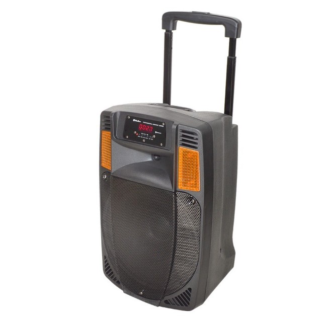 12 Inch 100W Outdoor Active Portable Trolley Subwoofer for Speaker Wireless MIC RGB LED Computer Mobile Phone Compatible