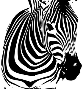 Fabrika kaynağı yeni ürünler zebra pop-sanat yağlıboya tuval üzerine - Product Image 4