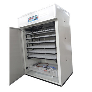 Proveedor de oro, Alex, incubadora de huevos alimentada por energía solar, incubadora de huevos en china AI-1056 para promoción - Product Image 3