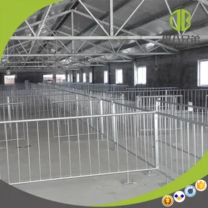 Hot Galvanized Popular Finishing Crates Fatten Pen Pig Breeding Farms