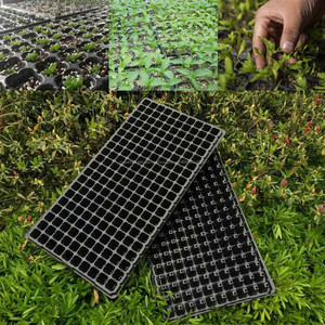 Verde crecer de <span class=keywords><strong>108</strong></span> células bandeja semillero se exportan a Ghana con precio barato - Product Image 3