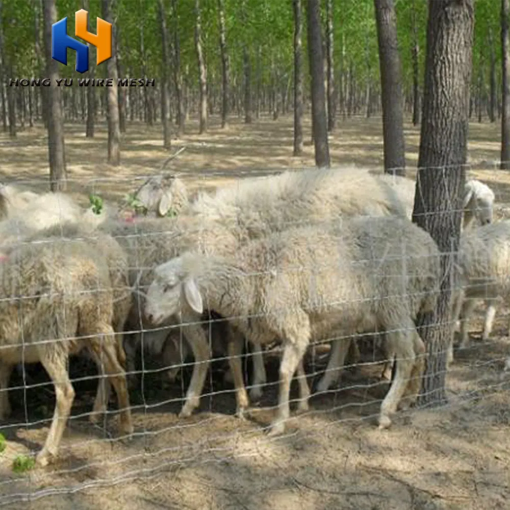 Clôture de chèvre en métal, panneaux métalliques, vente en gros, 9 pièces