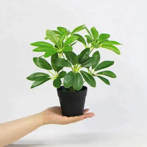 Mini plantes en pot artificielles ctn, 25 pièces, pour décoration de fête, livraison gratuite, offre spéciale