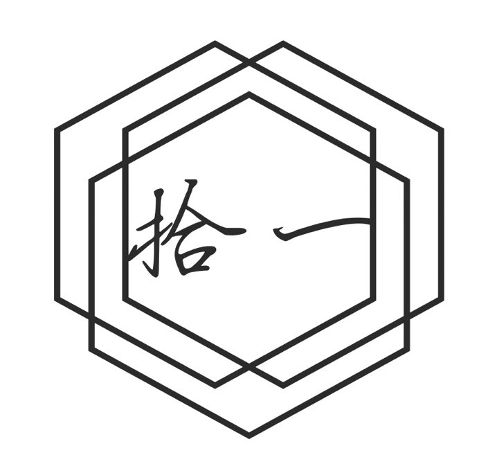 Shenzhen Shiyi Electronics Co., Ltd. logo