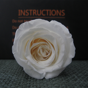 Vente en gros de décoration de mariage, bouquet de <span class=keywords><strong>roses</strong></span> d'éternité de longue durée, meilleures <span class=keywords><strong>roses</strong></span> pour toujours <span class=keywords><strong>roses</strong></span> conservées avec tête de fleur - Product Image 2