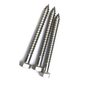 Din571 304 316 Stainless Steel Hex Head Lag Screw Wood Screws