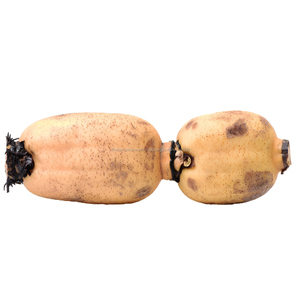 Alta Benefici Verdure Fresche Cibo Radice di Loto - Product Image 1