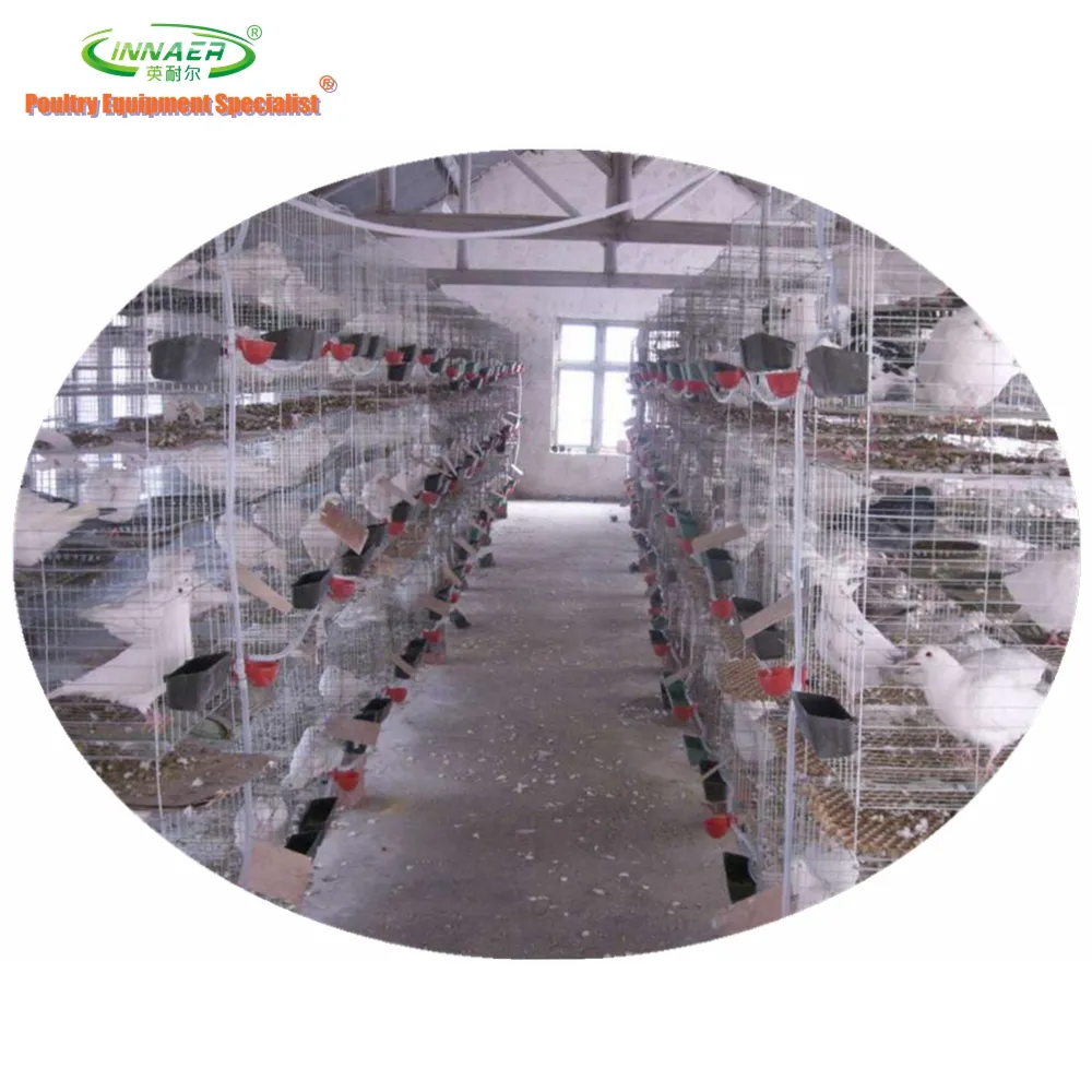 Gaiolas de pássaros de alta qualidade innaer, vendas para pigeões (20 anos de fábrica) 0086-18231821782