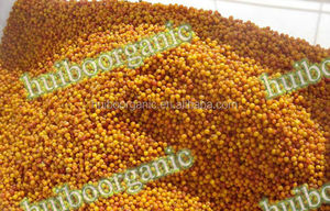 <span class=keywords><strong>Argousier</strong></span> séché entier pour le thé / Fruits d'<span class=keywords><strong>argousier</strong></span> séchés - Product Image 3