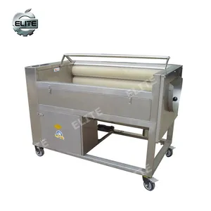 Machine for the dates cleaning industrial hair brush date cleaning washing machine