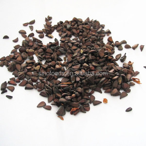 تصنيع توريد أعلى نقاء الهجين بذور البابايا - Product Image 4